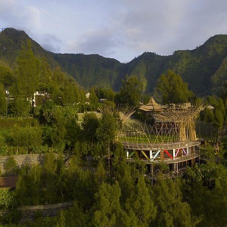 Pagupon Bromo Budget Lodge Exterior foto